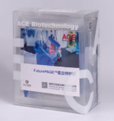 FuturePAGE 蛋白預制膠